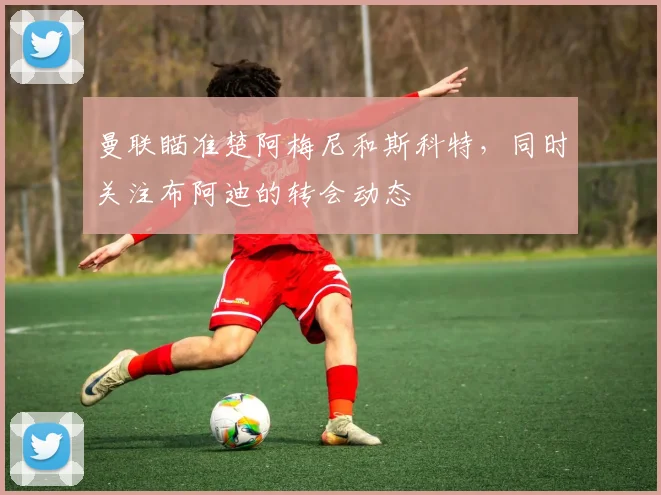 曼联瞄准楚阿梅尼和斯科特，同时关注布阿迪的转会动态