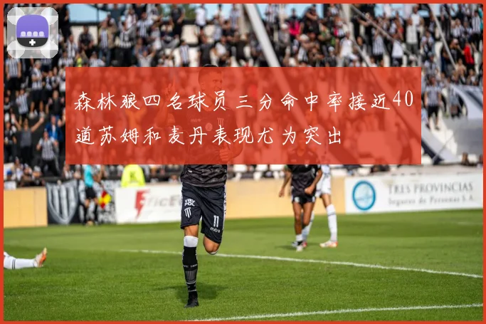 森林狼四名球员三分命中率接近40道苏姆和麦丹表现尤为突出